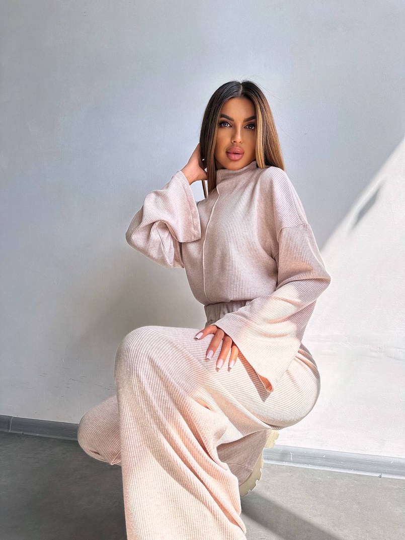 Трикотажний базовий комплект: світшот + штани  Трикотажний базовий комплект: світшот + штани  | PUSHKA SHOP