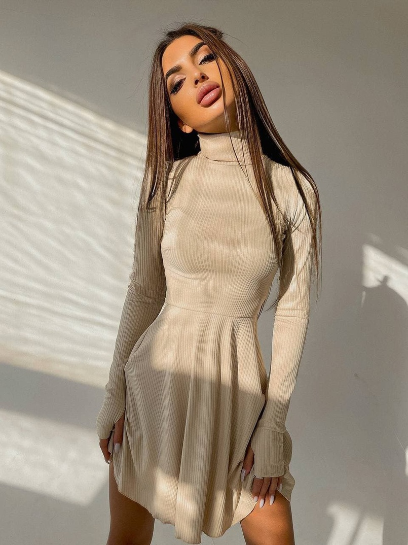 Приталенное трикотажное платье с высоким горлом Приталенное трикотажное платье с высоким горлом | PUSHKA SHOP