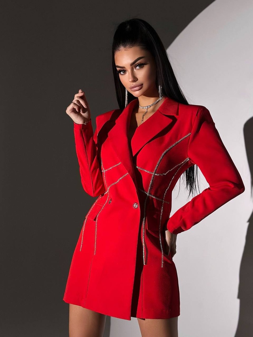 Сукня-піджак, декорована стразами Ручна робота Сукня-піджак, декорована стразами Ручна робота | PUSHKA SHOP