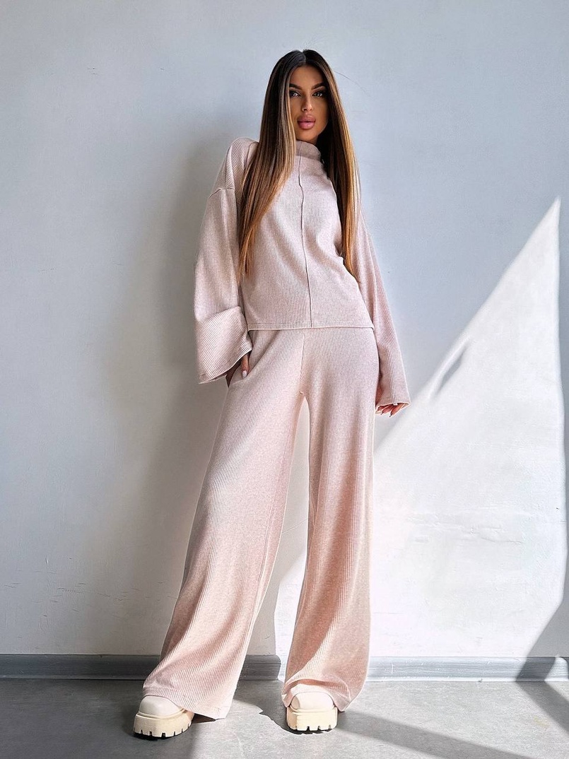 Трикотажний базовий комплект: світшот + штани  Трикотажний базовий комплект: світшот + штани  | PUSHKA SHOP