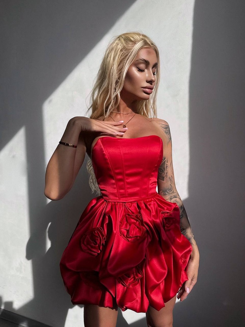 Комплект: корсет з  + спідниця декорована трояндами  Комплект: корсет з  + спідниця декорована трояндами  | PUSHKA SHOP