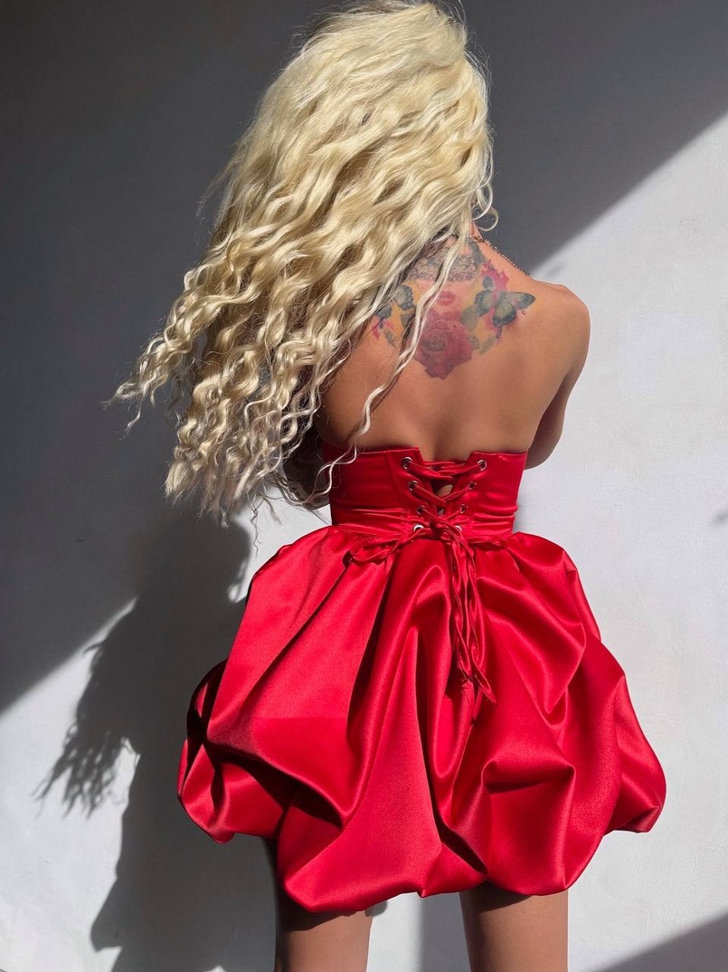 Комплект: корсет з  + спідниця декорована трояндами  Комплект: корсет з  + спідниця декорована трояндами  | PUSHKA SHOP