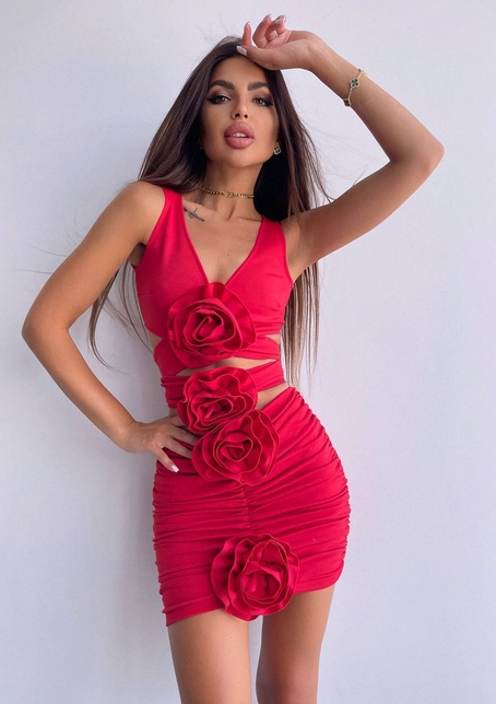 Комплект: топ та спідниця з трояндами    | PUSHKA SHOP