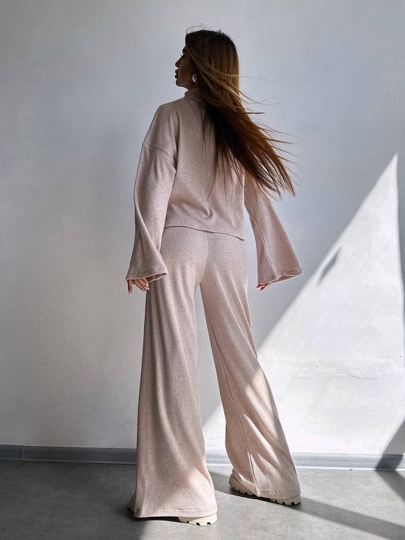 Трикотажний базовий комплект: світшот + штани  Трикотажний базовий комплект: світшот + штани  | PUSHKA SHOP