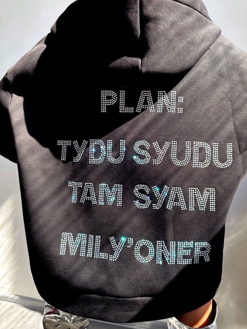 Трендове худі over size із сяючими стразами  | PUSHKA SHOP