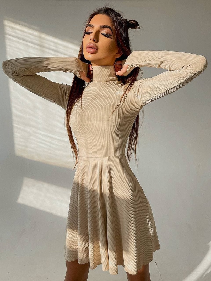 Приталенное трикотажное платье с высоким горлом Приталенное трикотажное платье с высоким горлом | PUSHKA SHOP