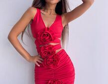 Комплект: топ та спідниця з трояндами    Комплект: топ та спідниця з трояндами    | PUSHKA SHOP