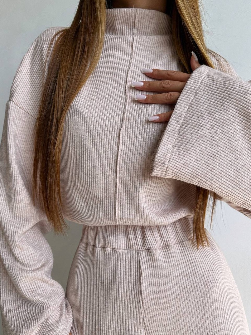 Трикотажний базовий комплект: світшот + штани  Трикотажний базовий комплект: світшот + штани  | PUSHKA SHOP